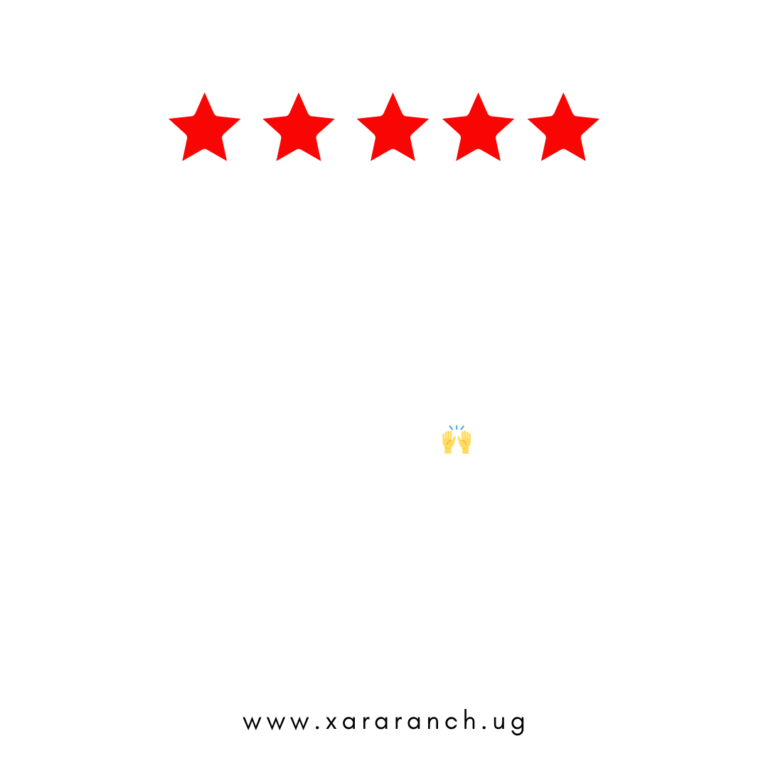 Copy of Out of town customer reviews (14)